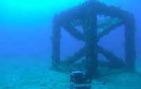 Künstliche Riffe im indischen Ozean untersucht
